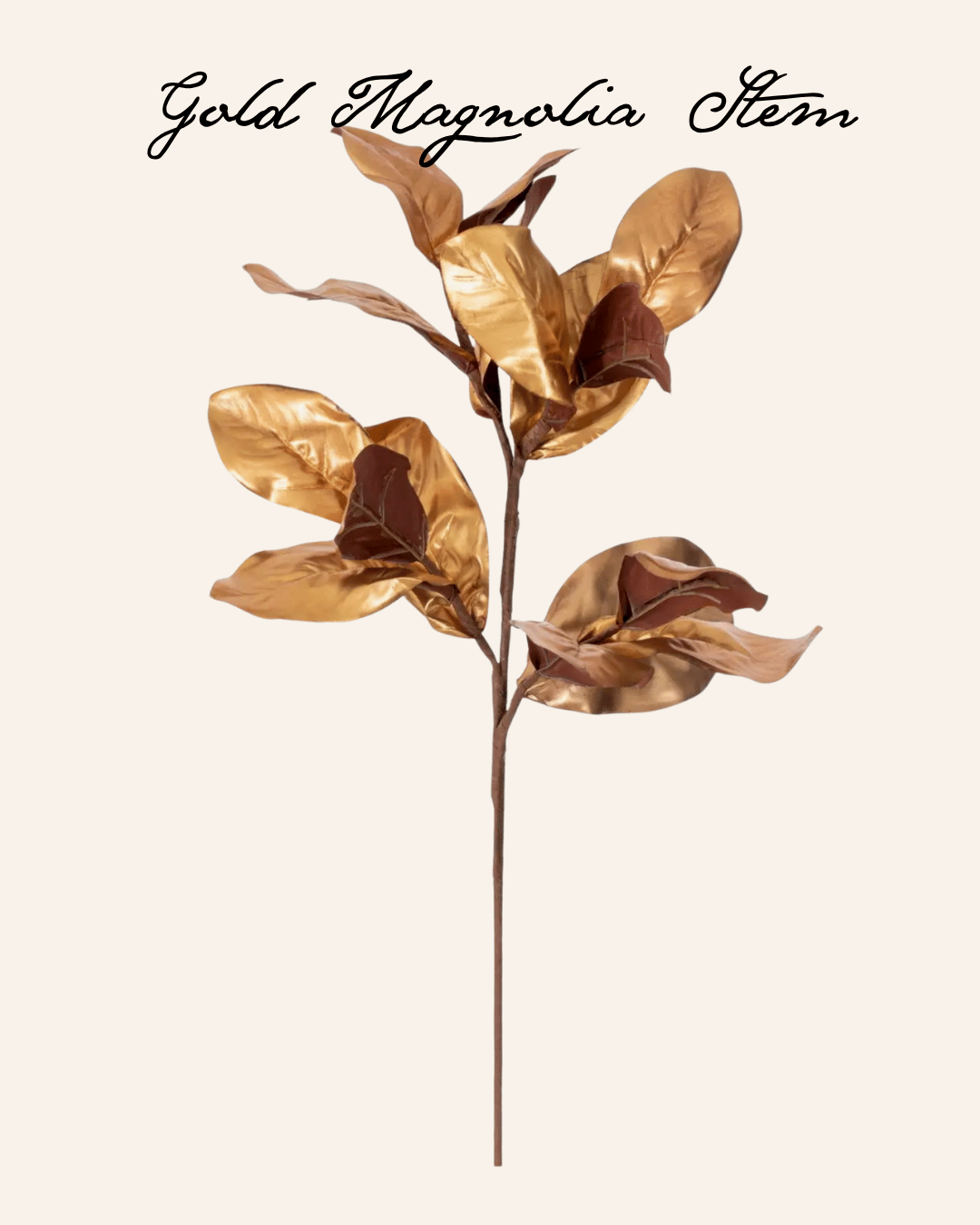 gilded gold magnolia stem on cream background
